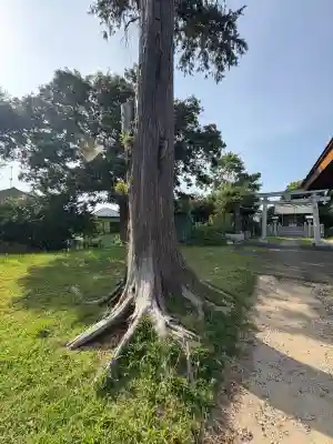 第六天神社(千葉県)