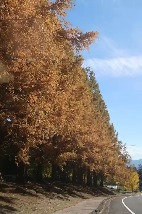 多禰寺(京都府)