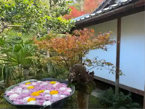 法然院(京都府)