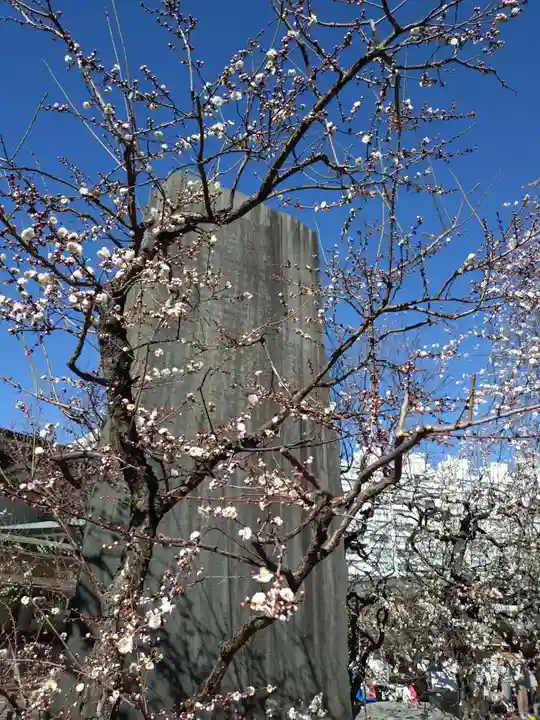 湯島天満宮(東京都)
