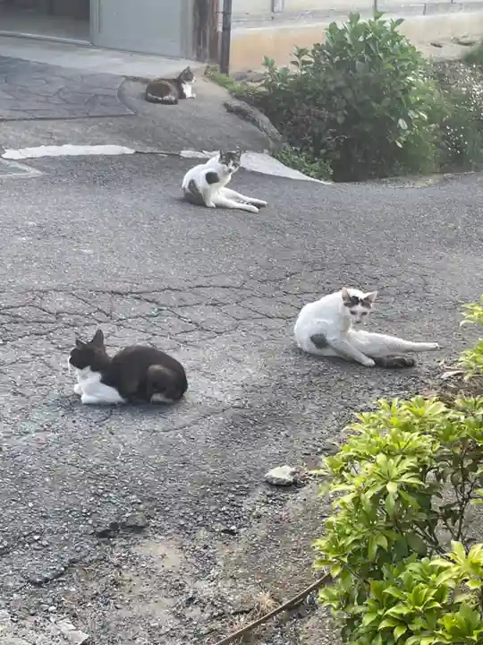 浄瑠璃寺の動物