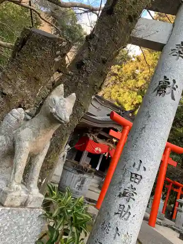 山口大神宮の狛犬