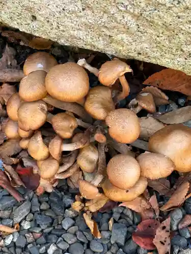 田中神社(滋賀県)