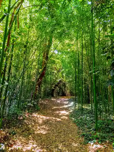 筒島弁財天の自然