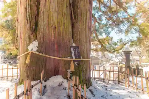 戸隠神社中社(長野県)