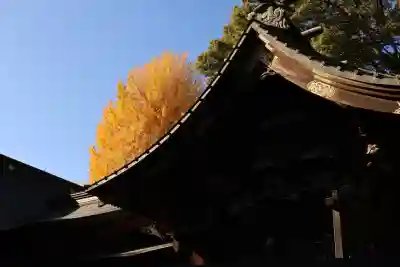 下野國一社八幡宮(栃木県)