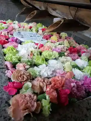 青山熊野神社(東京都)