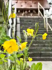 古町豊受大神宮の自然