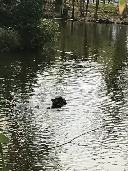 武蔵一宮氷川神社の{uncategorized: "未分類", other: "その他", undefined: "問題あり", building: "その他建物", grave: "お墓", sacred_gate: "鳥居", guardian: "狛犬", statue: "像", buddha: "仏像", history: "歴史", nature: "自然", garden: "庭園", animal: "動物", pagoda: "塔", temizu: "手水舎", mountain_gate: "山門・神門", sanctuary: "本殿・本堂", subordinate: "末社・摂社", art: "芸術", scenery: "景色", jizo: "地蔵", ema: "絵馬", goshuin: "御朱印", omikuji: "おみくじ", items: "授与品その他", amulet: "お守り", goshuincho: "御朱印帳", eats: "食事", festival: "お祭り", votive_dance: "神楽", shichigosan: "七五三参", wedding: "結婚式", experience: "体験その他", initially: "初詣", around: "周辺", anti_infection: "感染症対策"}