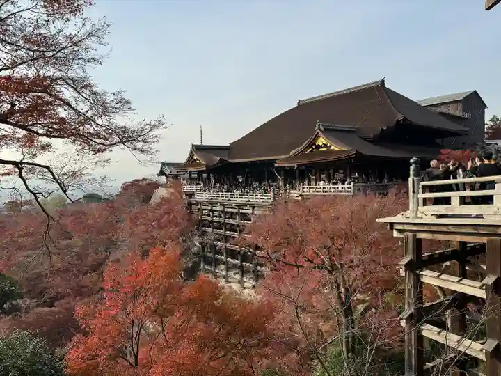 清水寺の本殿・本堂