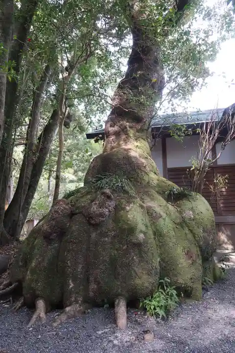 伊雜宮(皇大神宮別宮)(三重県)