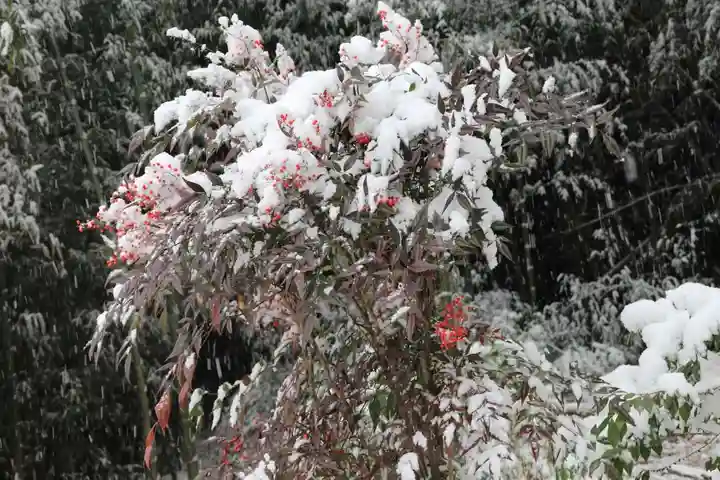 帳附神社の自然