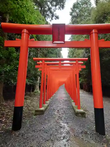 美濃國一宮　南宮大社の鳥居