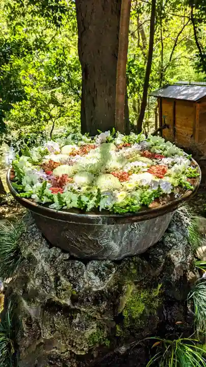 武蔵一宮氷川神社の手水舎