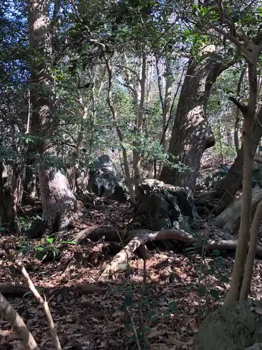 出雲大神宮の自然