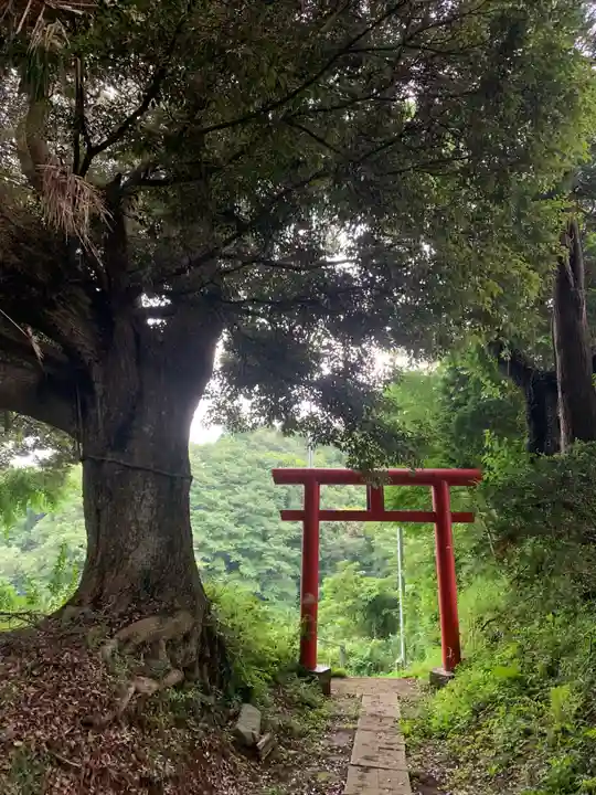 日枝神社(千葉県)