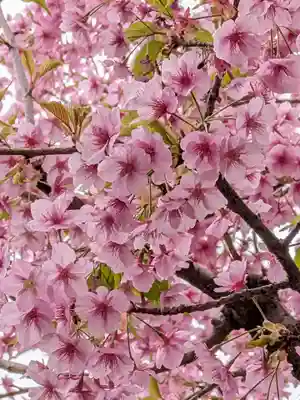 源空寺(東京都)