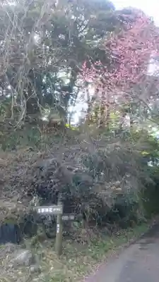 北野神社の自然