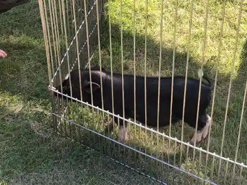 東本願寺本廟 牛久浄苑（牛久大仏）の動物