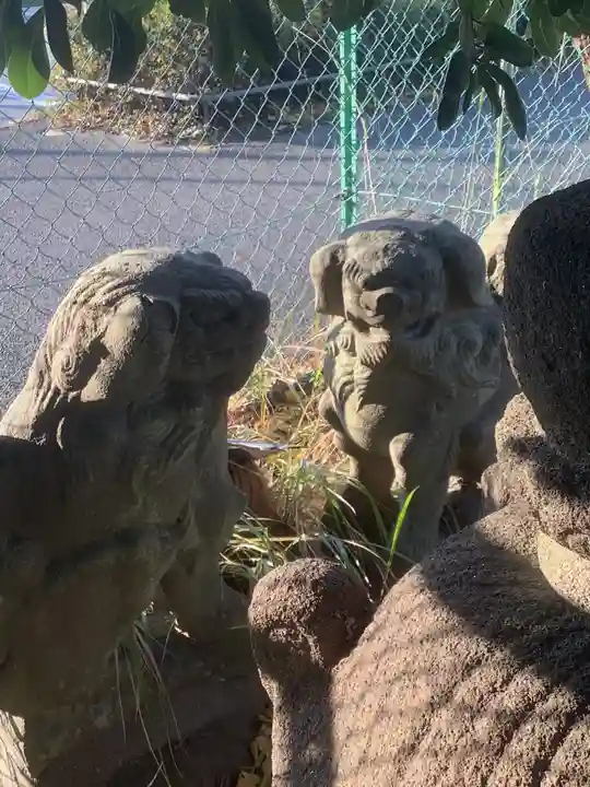 稲荷社(十一屋)の狛犬