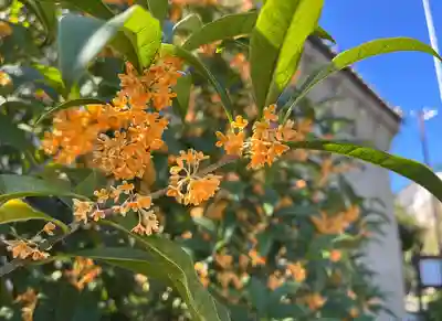 秩父札所十三番 慈眼寺(埼玉県)