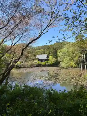 龍安寺(京都府)