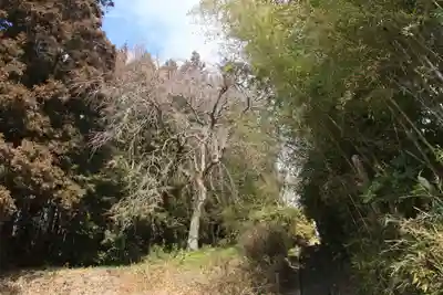 大六天麻王神社(福島県)
