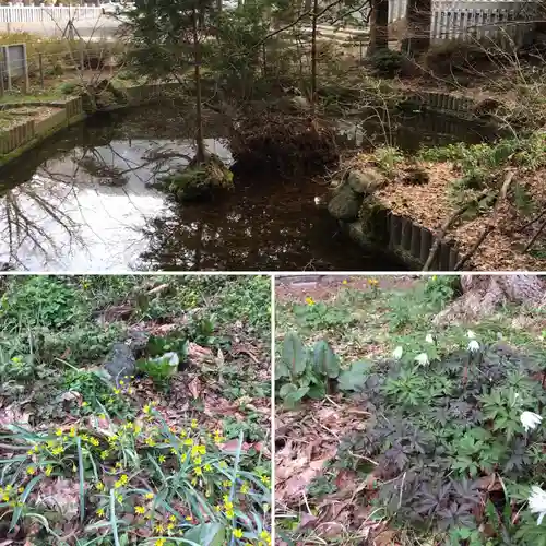 函館八幡宮の庭園