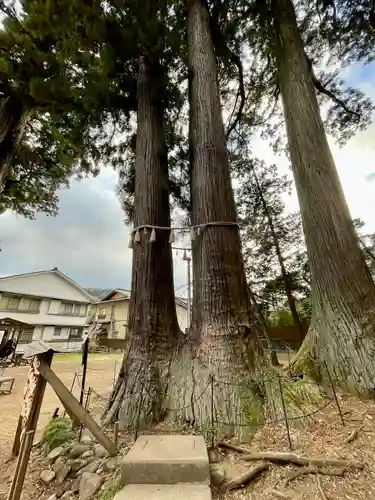 日枝神社(静岡県)