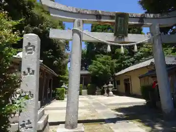 白山神社(今津町上弘部)(滋賀県)