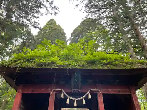 戸隠神社奥社(長野県)