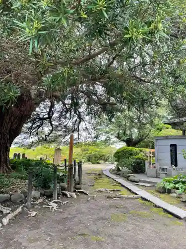 安養院　(田代寺）の{uncategorized: "未分類", other: "その他", undefined: "問題あり", building: "その他建物", grave: "お墓", sacred_gate: "鳥居", guardian: "狛犬", statue: "像", buddha: "仏像", history: "歴史", nature: "自然", garden: "庭園", animal: "動物", pagoda: "塔", temizu: "手水舎", mountain_gate: "山門・神門", sanctuary: "本殿・本堂", subordinate: "末社・摂社", art: "芸術", scenery: "景色", jizo: "地蔵", ema: "絵馬", goshuin: "御朱印", omikuji: "おみくじ", items: "授与品その他", amulet: "お守り", goshuincho: "御朱印帳", eats: "食事", festival: "お祭り", votive_dance: "神楽", shichigosan: "七五三参", wedding: "結婚式", experience: "体験その他", initially: "初詣", around: "周辺", anti_infection: "感染症対策"}