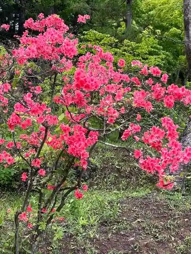 毛越寺(岩手県)
