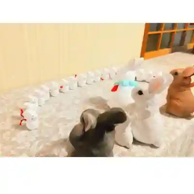 彌彦神社　(伊夜日子神社)のおみくじ