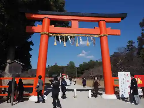 賀茂別雷神社（上賀茂神社）の鳥居