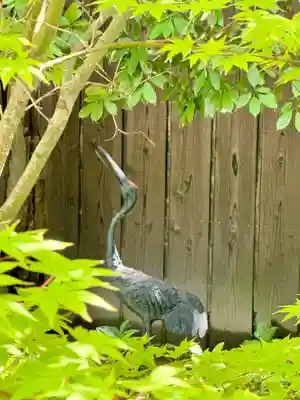 霊源院(京都府)