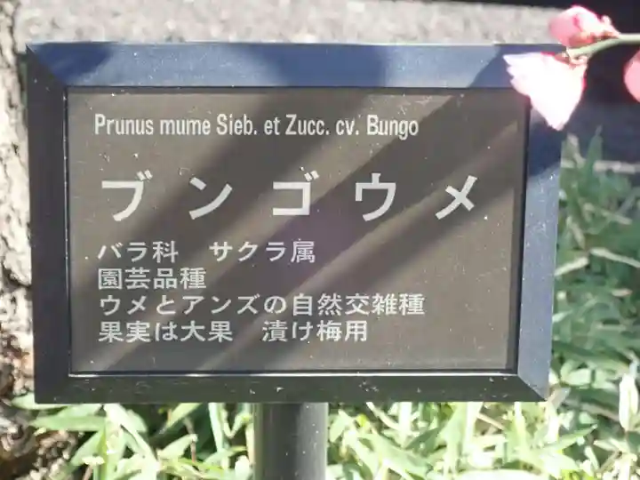 とげぬき地蔵尊 高岩寺の御朱印