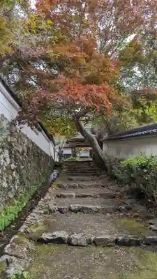 勝持寺（花の寺）(京都府)