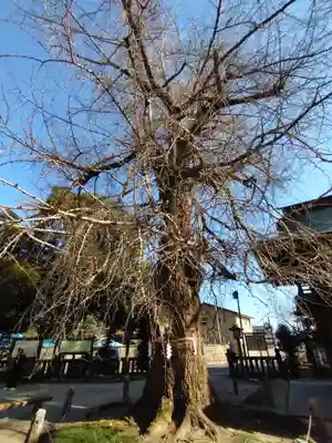 今宮神社(栃木県)
