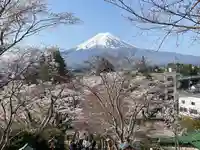 新倉富士浅間神社(山梨県)