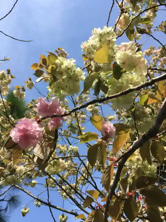 播州清水寺の自然