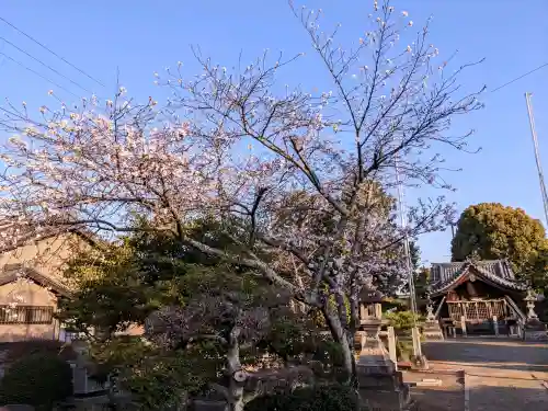 八幡社(愛知県)