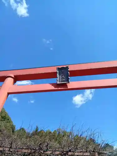 古井の天狗山(岐阜県)