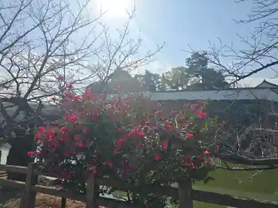 岸城神社(大阪府)