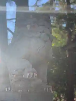 谷保天満宮の狛犬