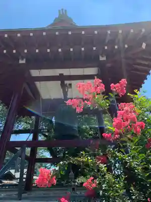 法音寺のその他建物