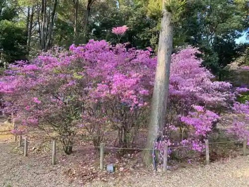 廣田神社(兵庫県)