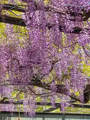 國領神社(東京都)