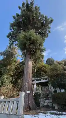 天満神社(兵庫県)