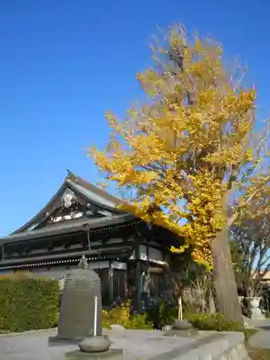 慈眼寺(神奈川県)